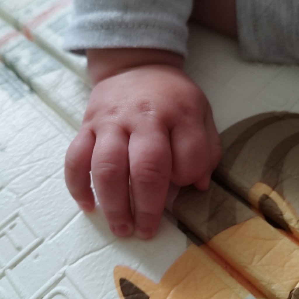 This little hand