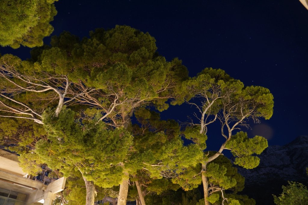 Nocne