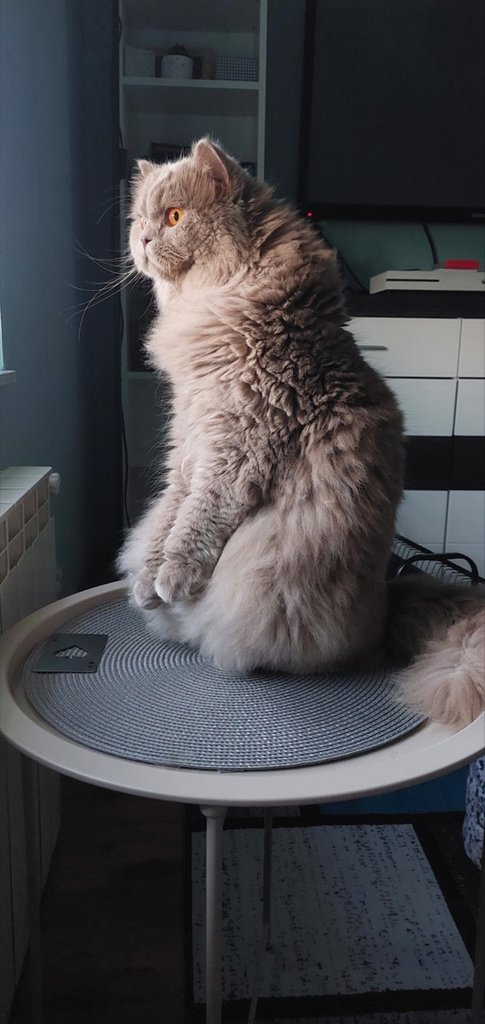 :*