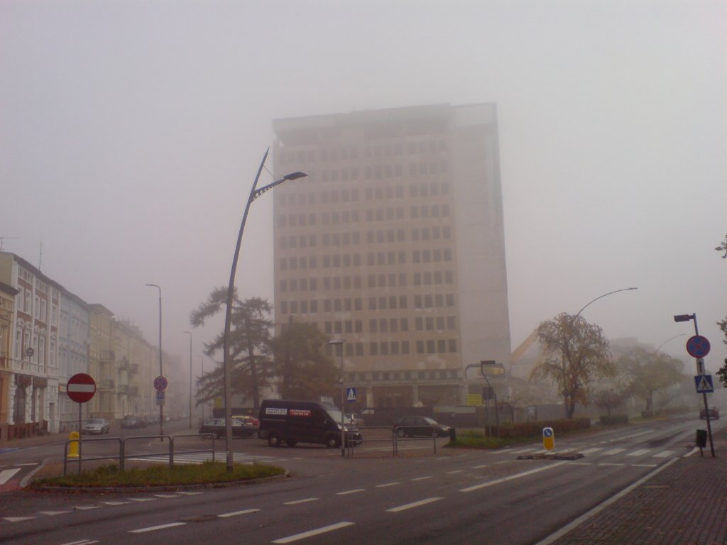 Zwizkowiec we mgle