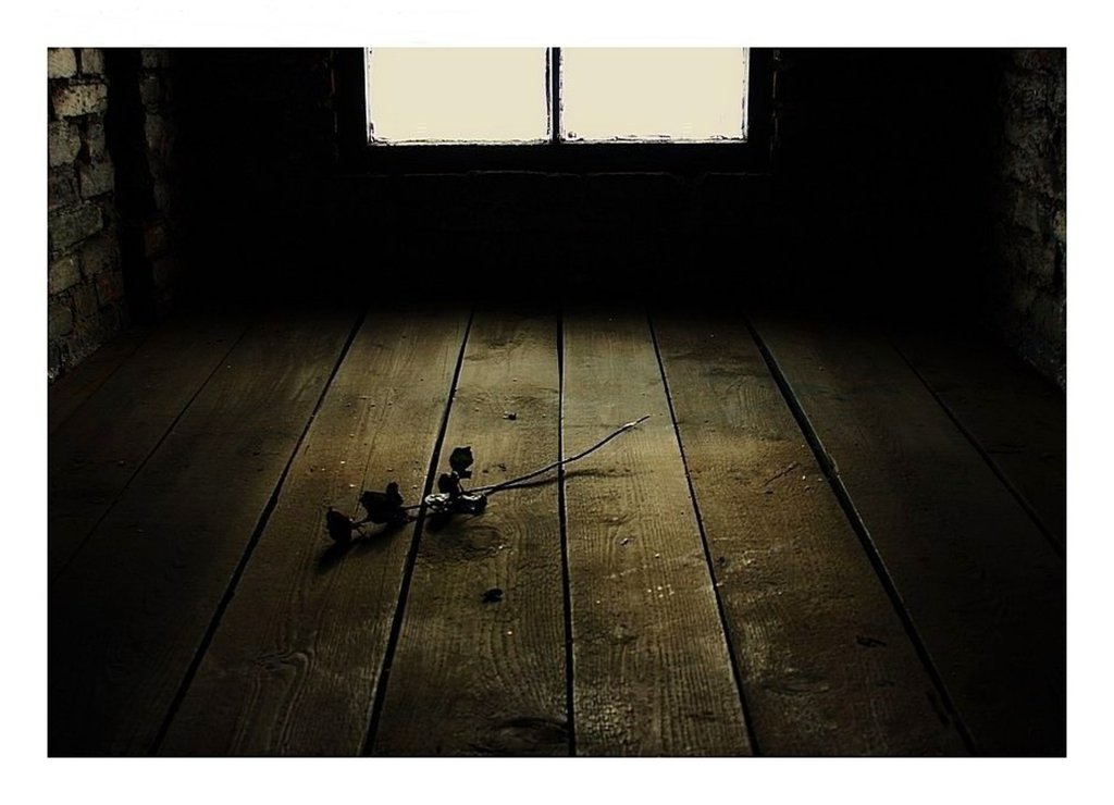 Auschwitz-Birkenau