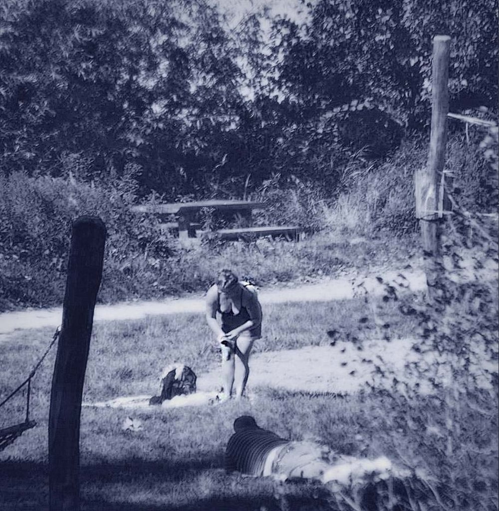 Nad dzik Wis.