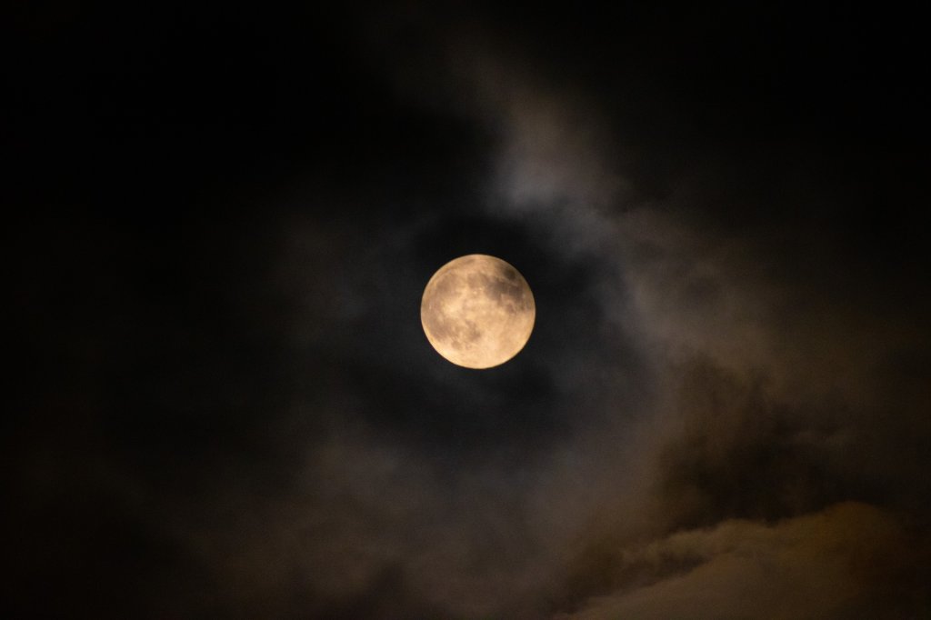 MOON LIGHT