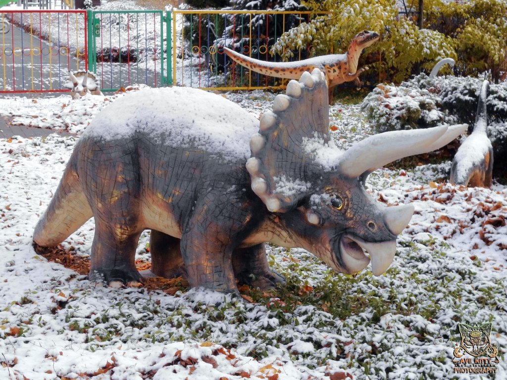 DINOZAUROWO, ZIMOWO [...]