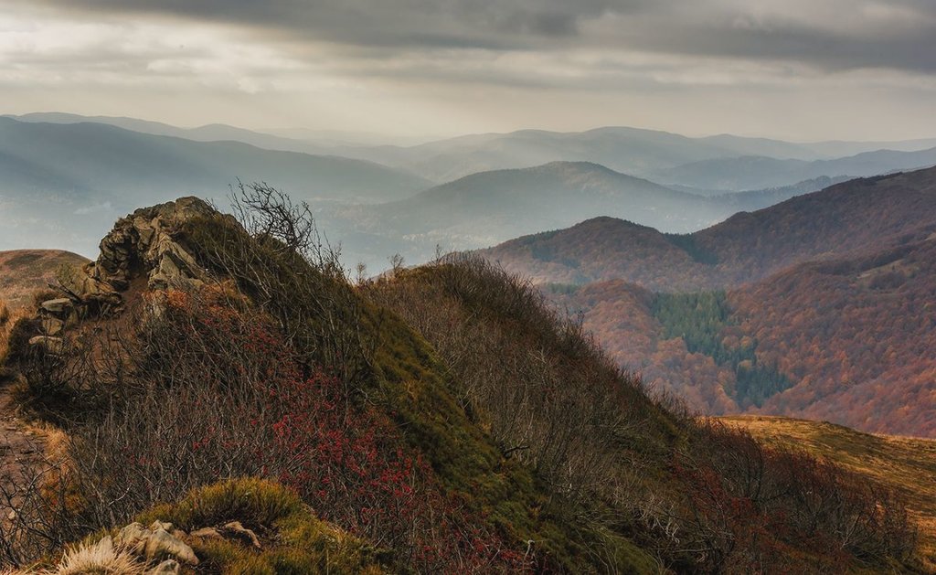 Bieszczady 
