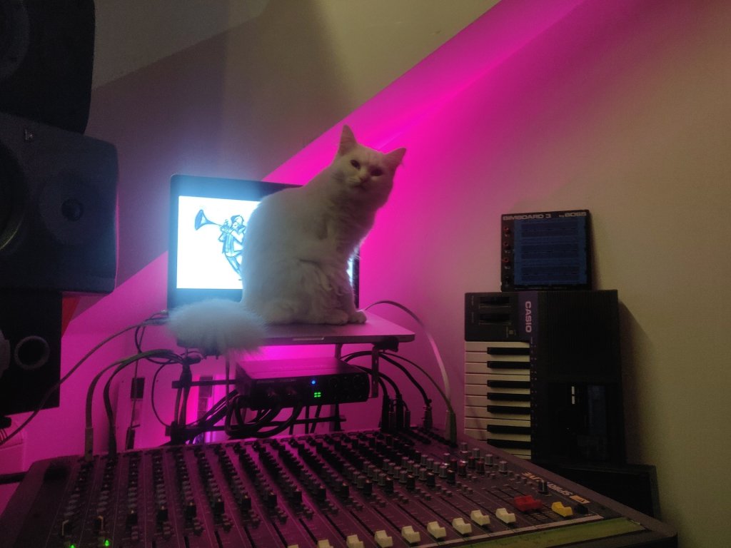 Oi oi