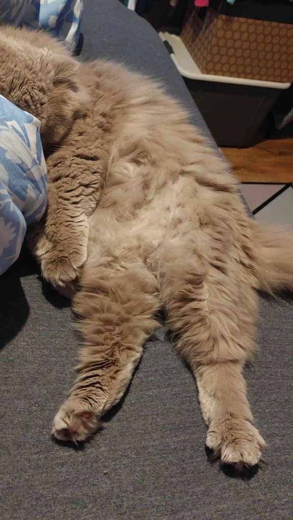 ^^