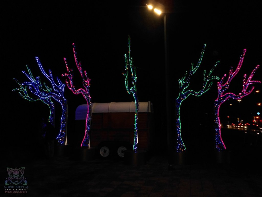 WITECZNE ILUMINACJE... part 15