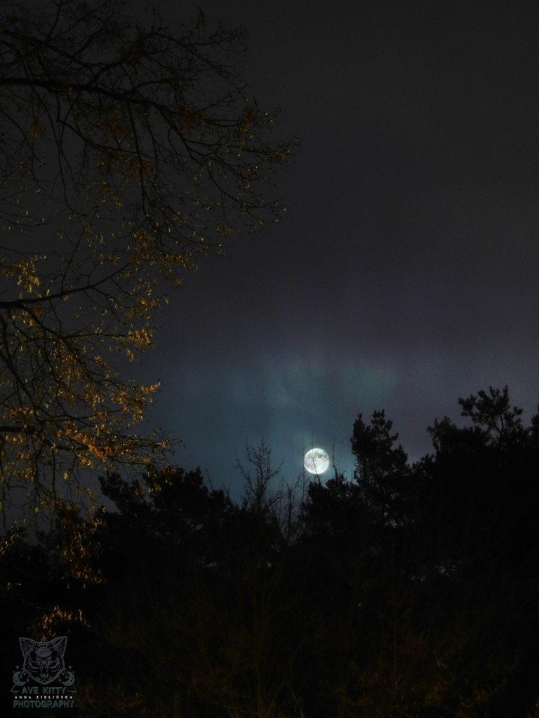 Widok na ZORZE POLARNE i KSIʯYC