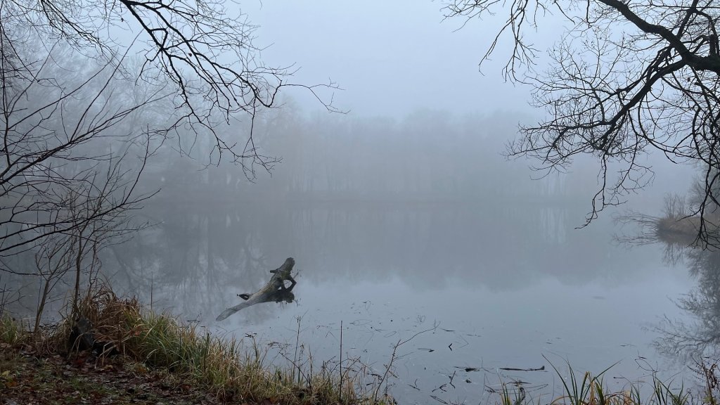 Foggy day