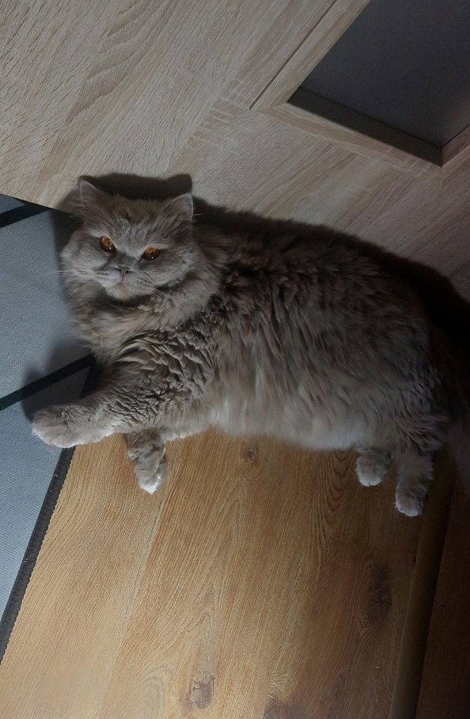 :*