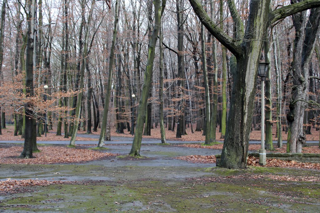 Gliwice