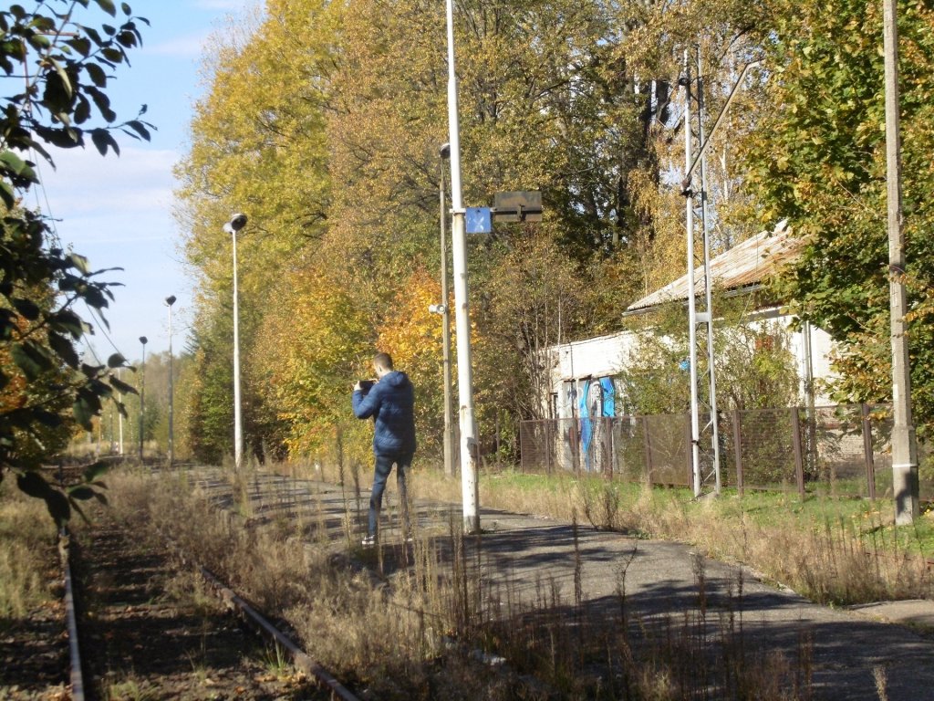 Ale zarosniete 