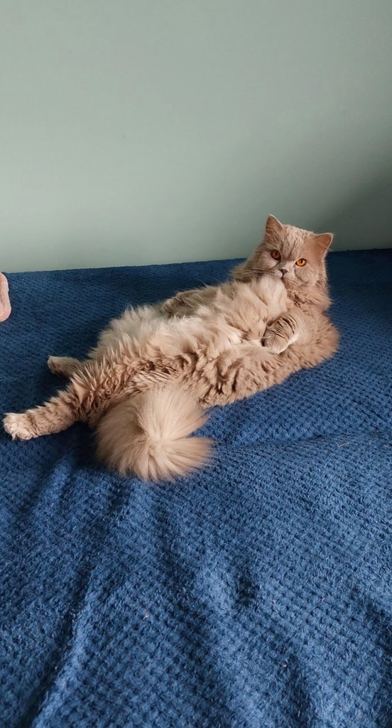 :)