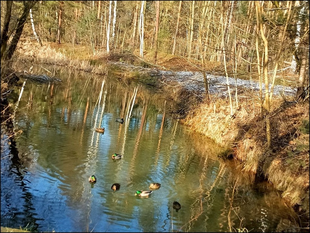 Pewie zimowy sloneczny dzie...