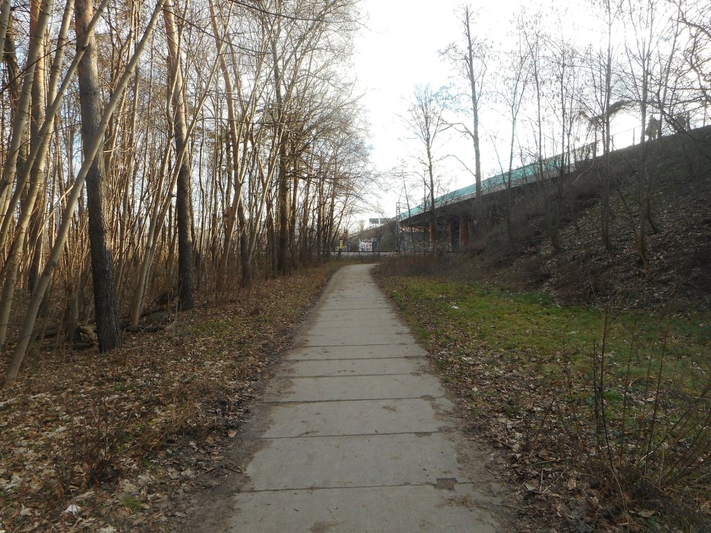 Pogoda dostaa szau