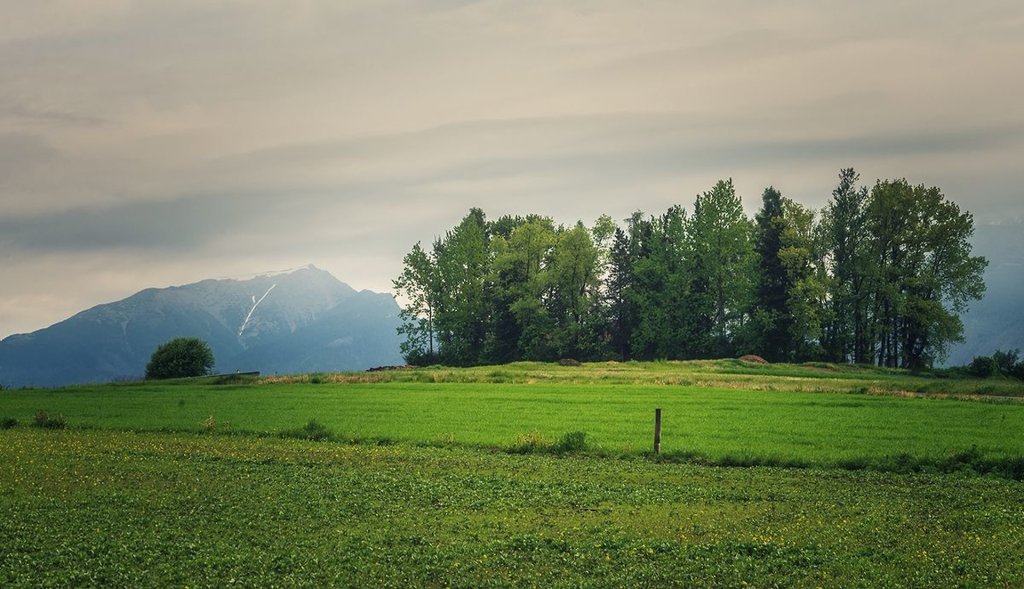 Z widokiem na Tatry