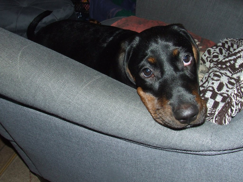 Kalinka .