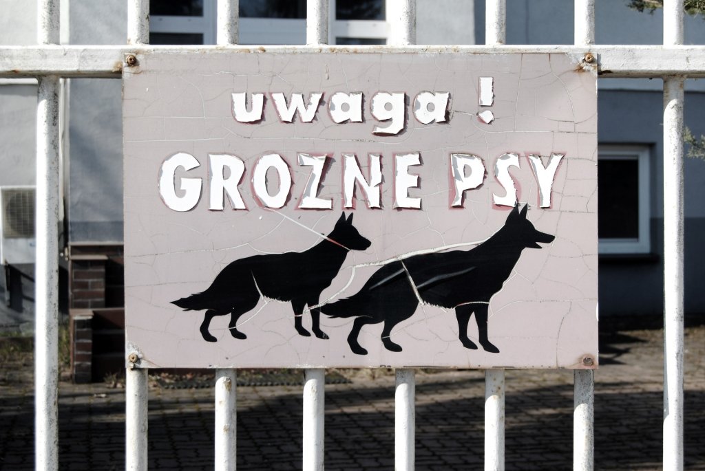 GRONE PSY