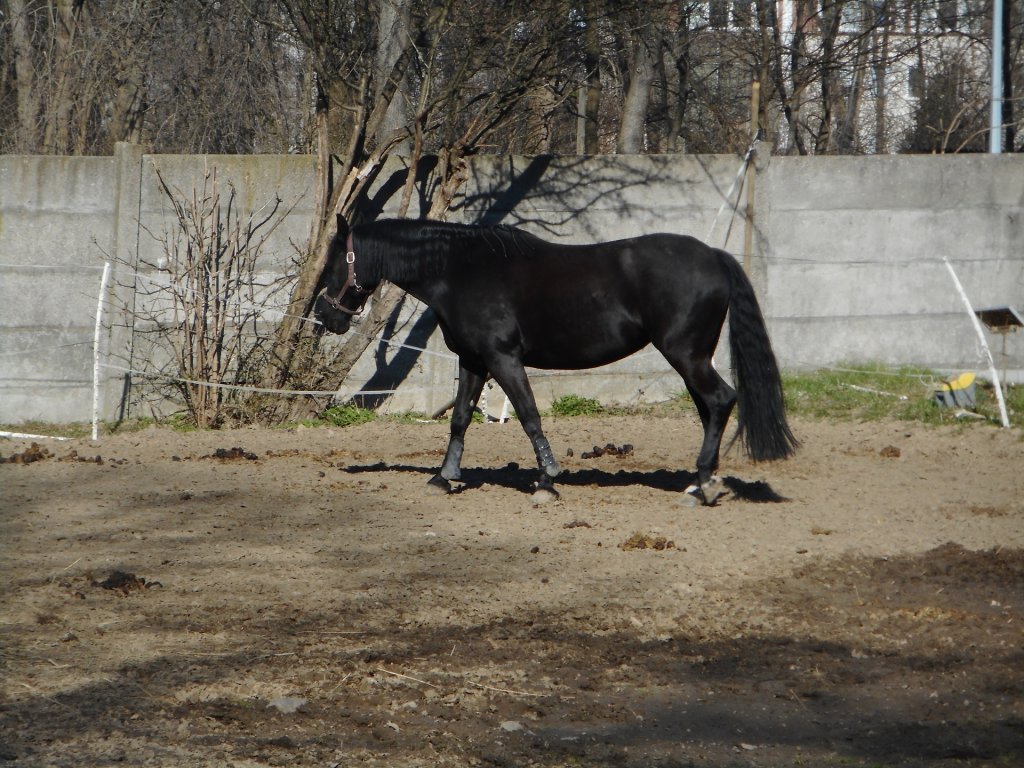 Jutro si widzimy