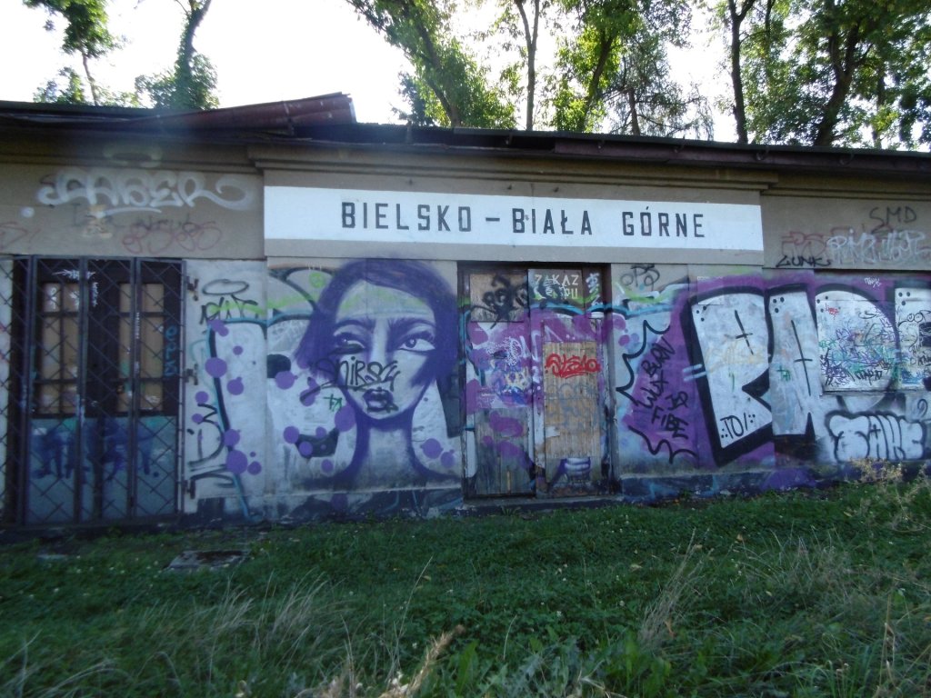 Ciekawa kobieta na murze