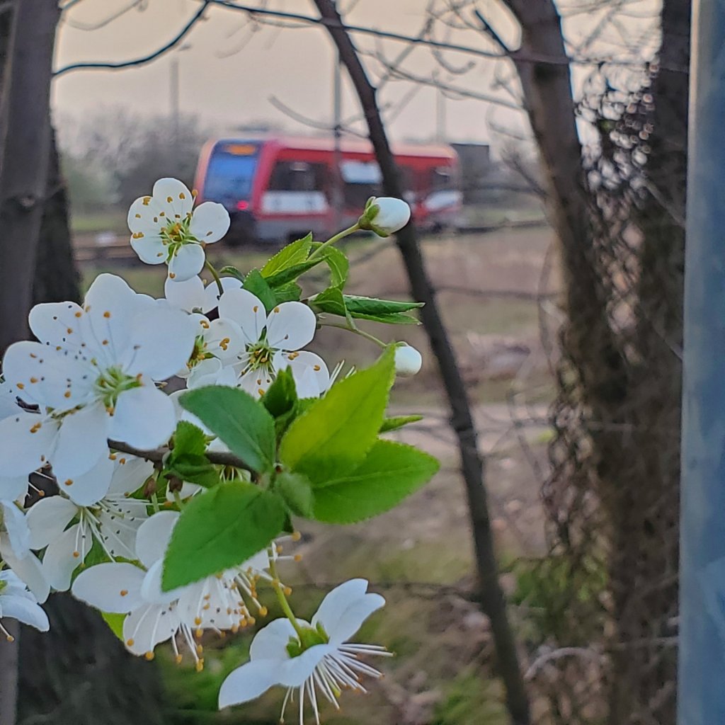 Witaj po dugim czasie...
