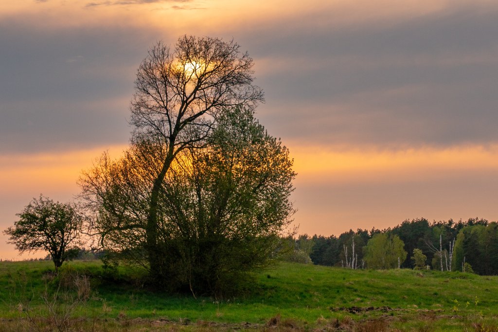 Widok 