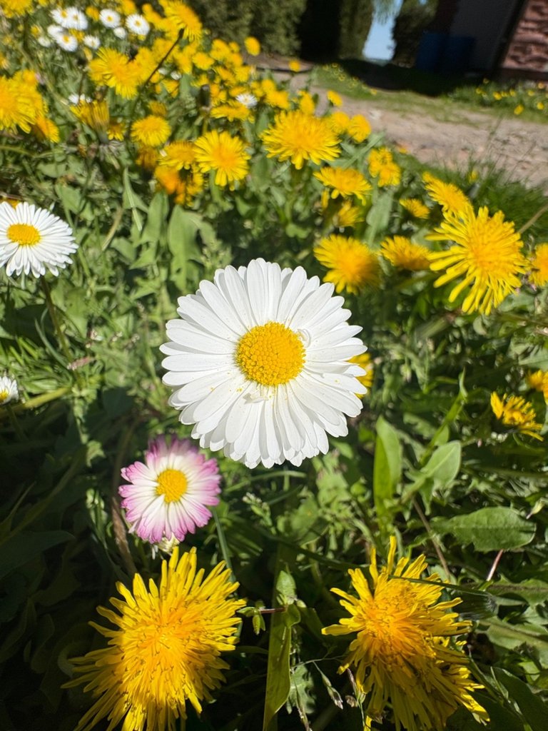 972