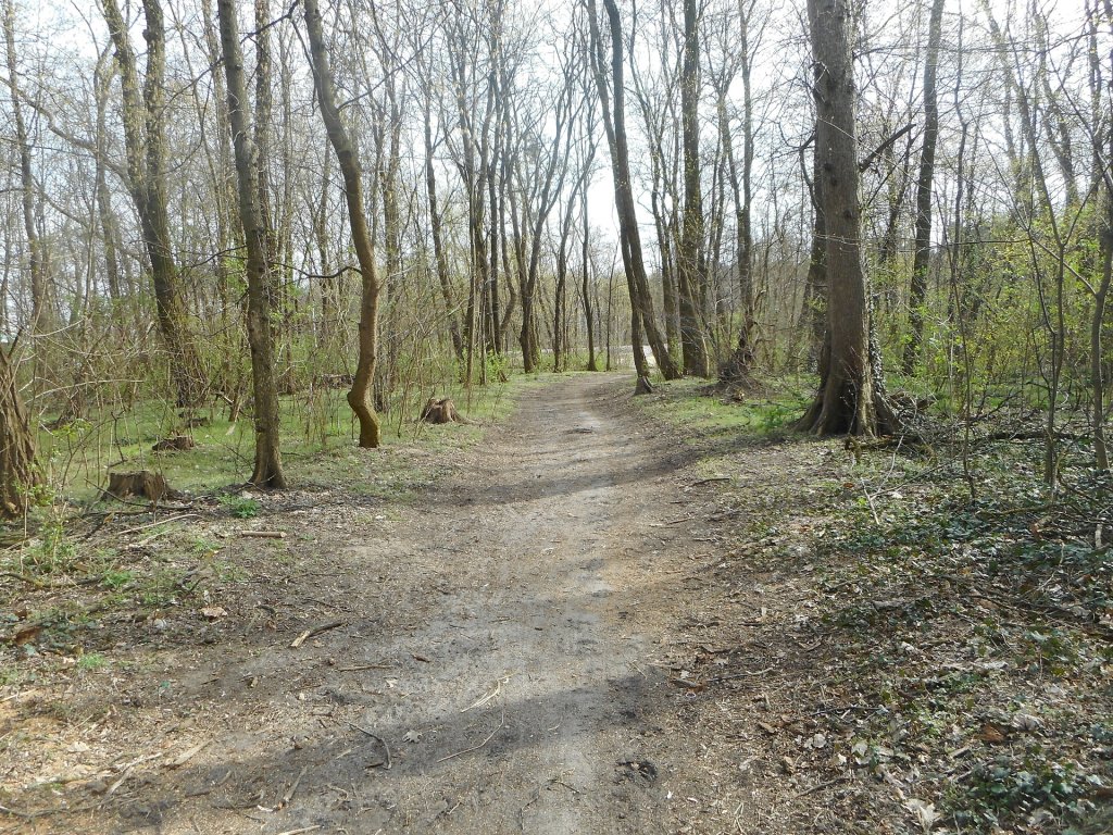 Od lat przygldam si wiatu