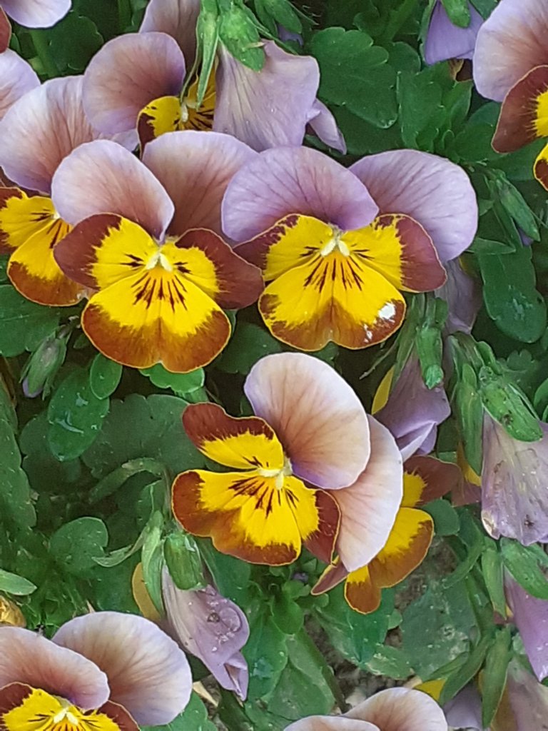 04.05.2025