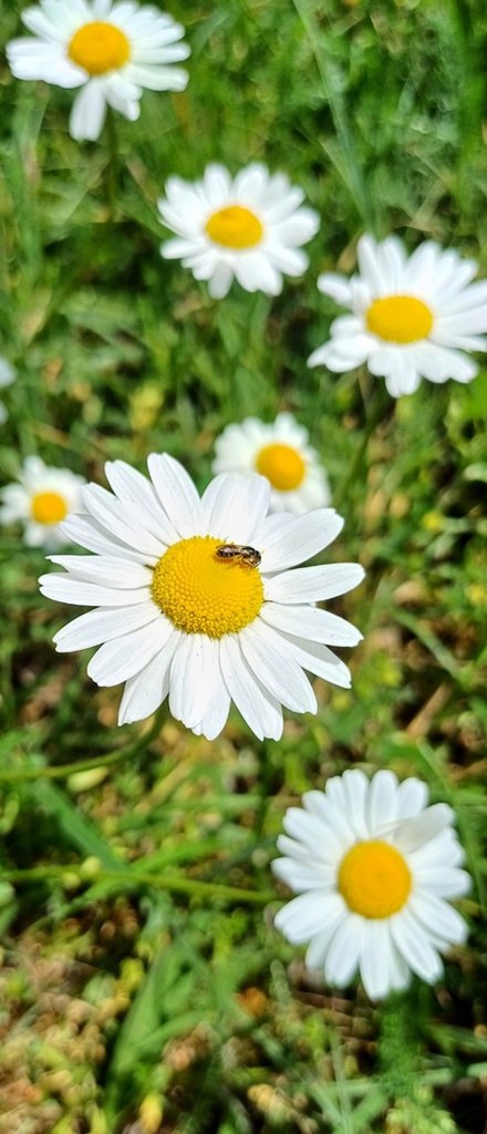 Wiosna 2025r. 