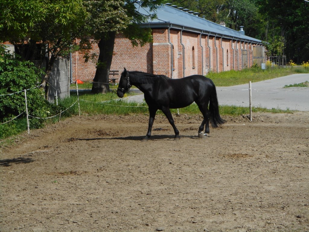 Magiczna czer