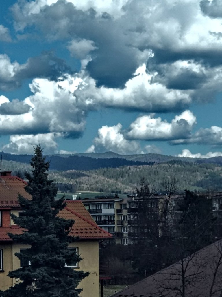 Widok