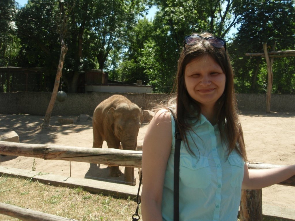 W Zoo 