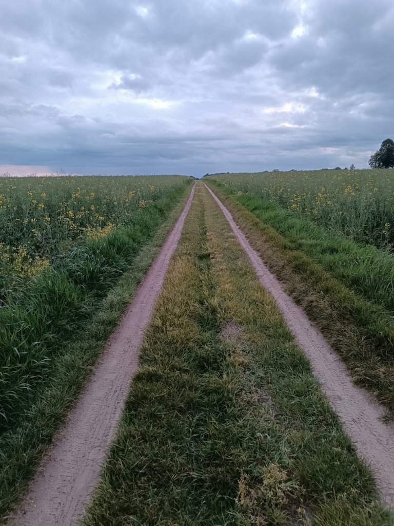 Powinno by "we dwoje"