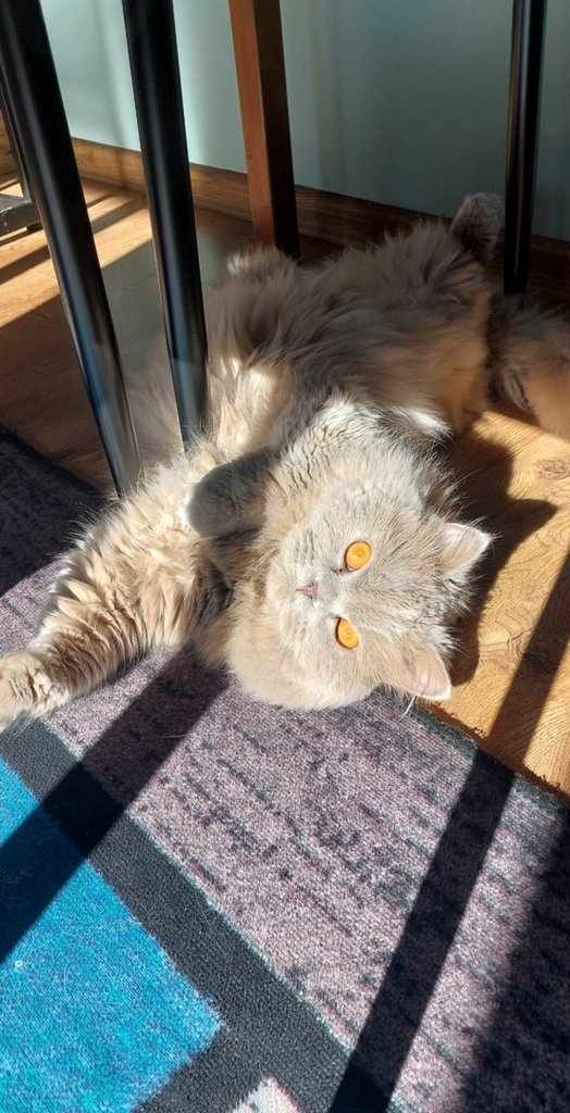 ;*