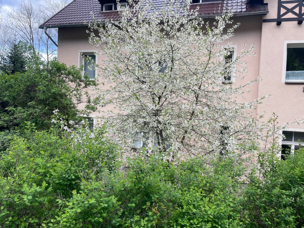 o tym wszystkim co potrzebne 