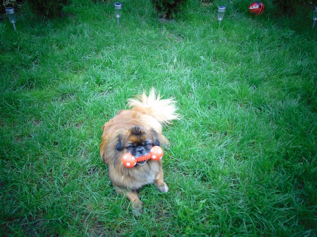 Cwiczenia z hantlami  :)