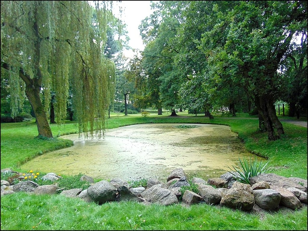 Park Pawniowicki zaprasza :)