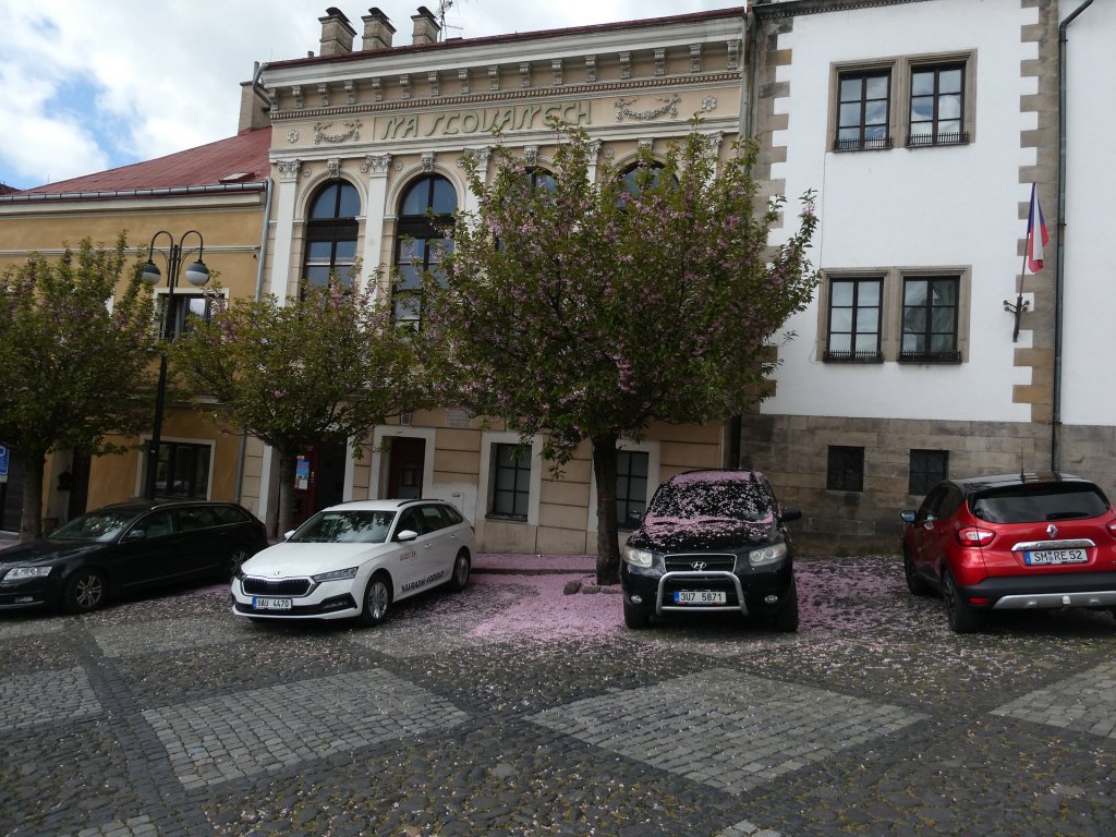 Obsypany kwieciem