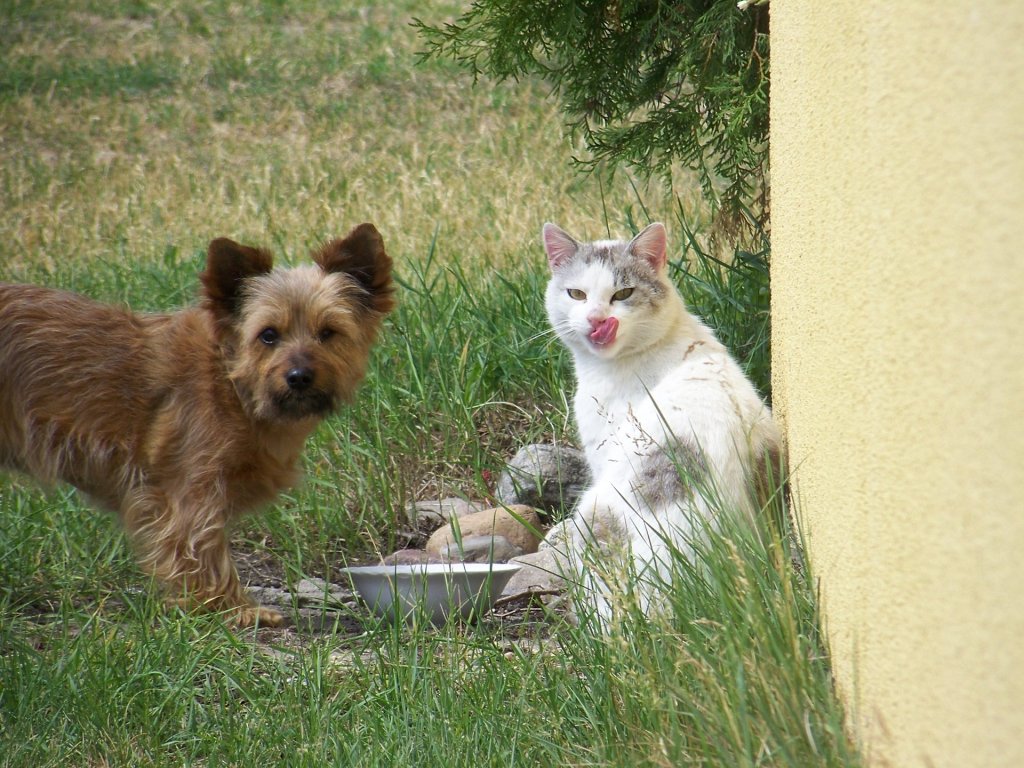 zawsze mona si dogada