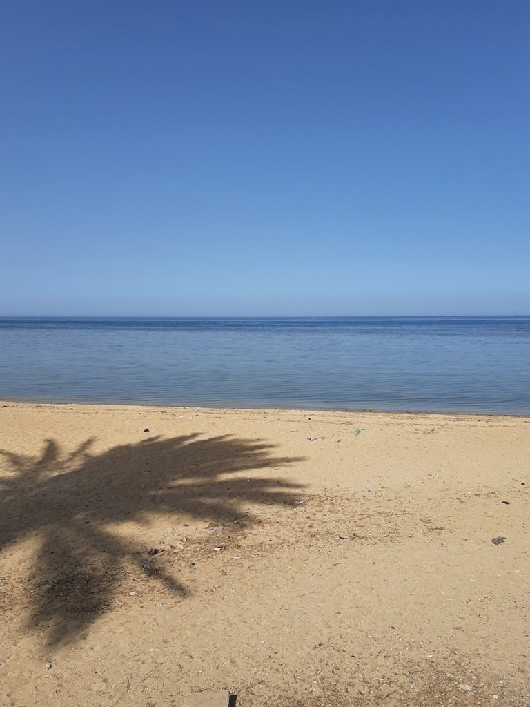 Red Sea