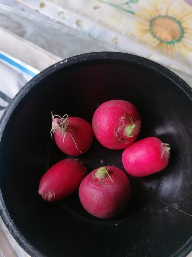 :) 