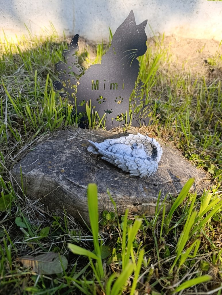 11 / 06 / 25