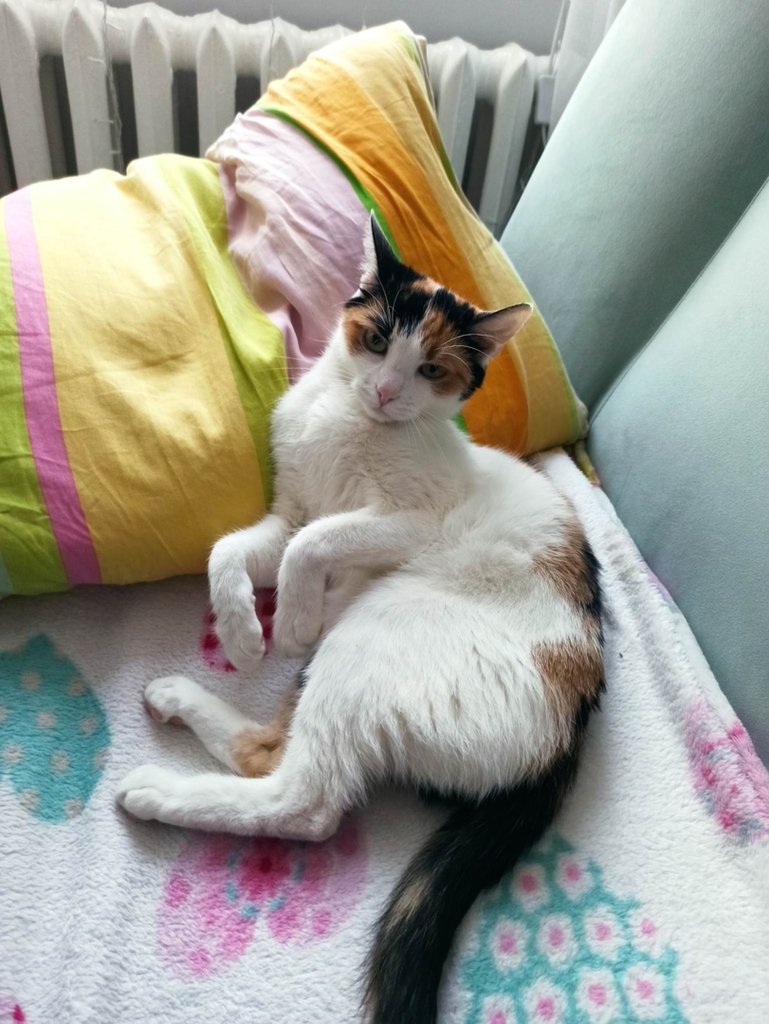 Moja 