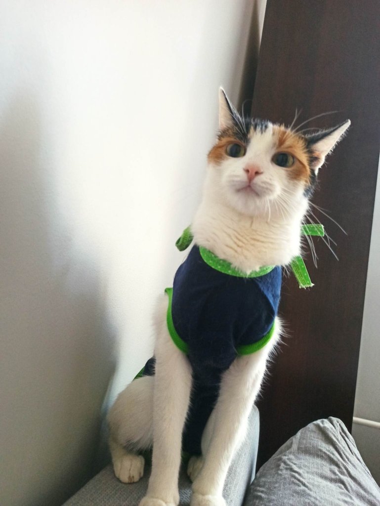 ;*