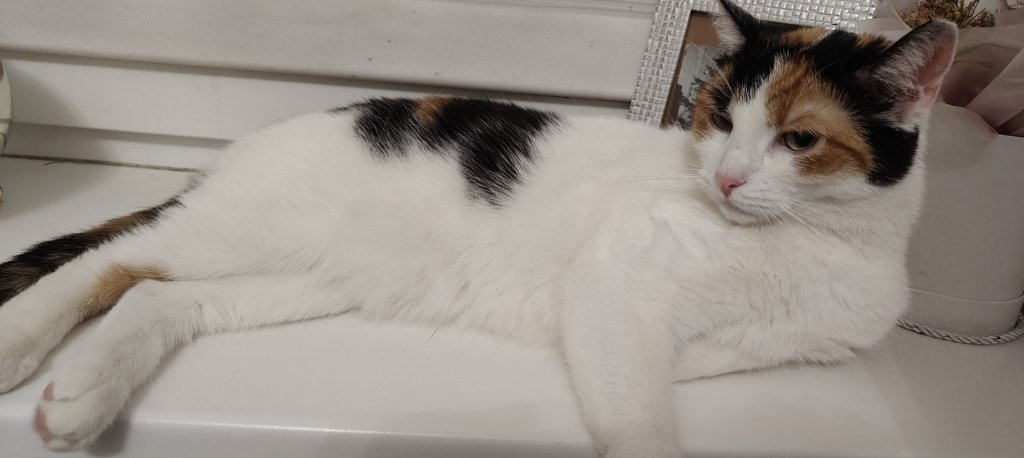 Odpoczywanko 