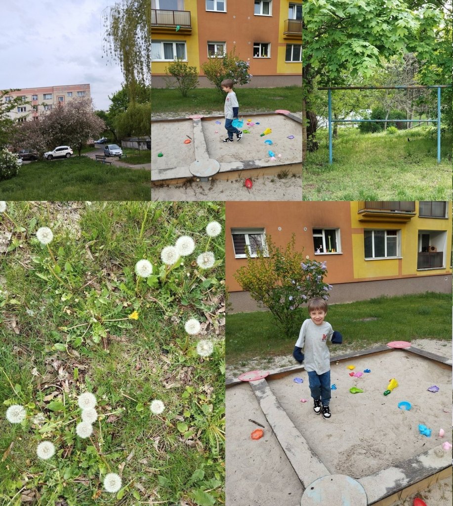 maj 2025