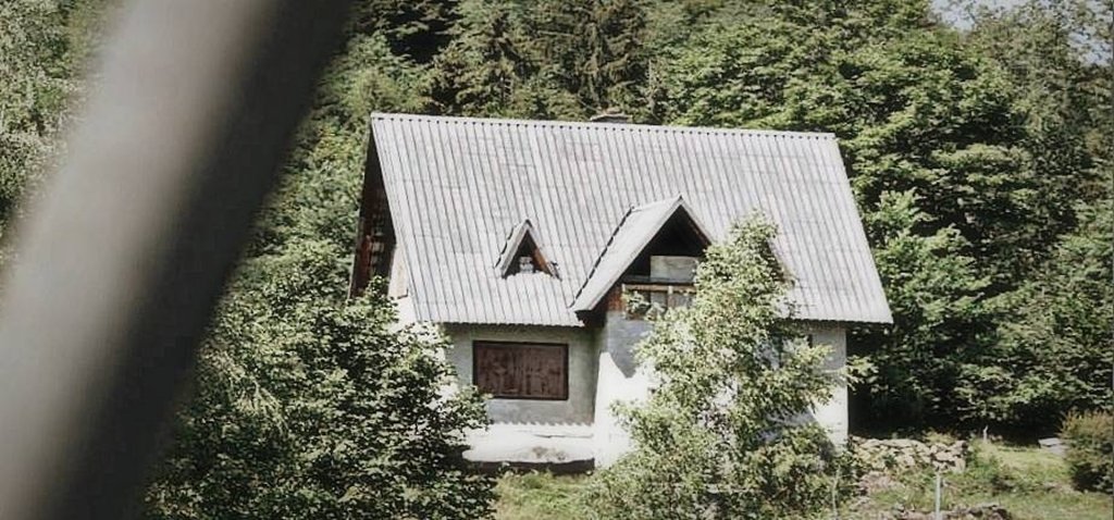Cigle niegotowy. 