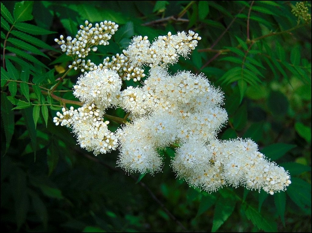 :)